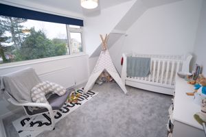 Photo 11- click for photo gallery